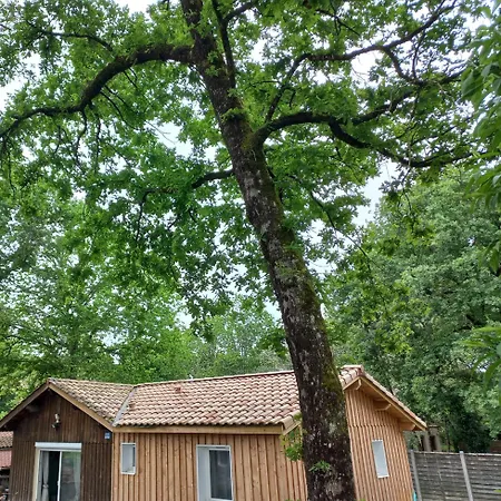 La Petite Maison Des Ecureuils Mios