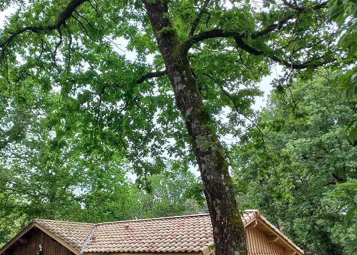 La Petite Maison Des Ecureuils Mios