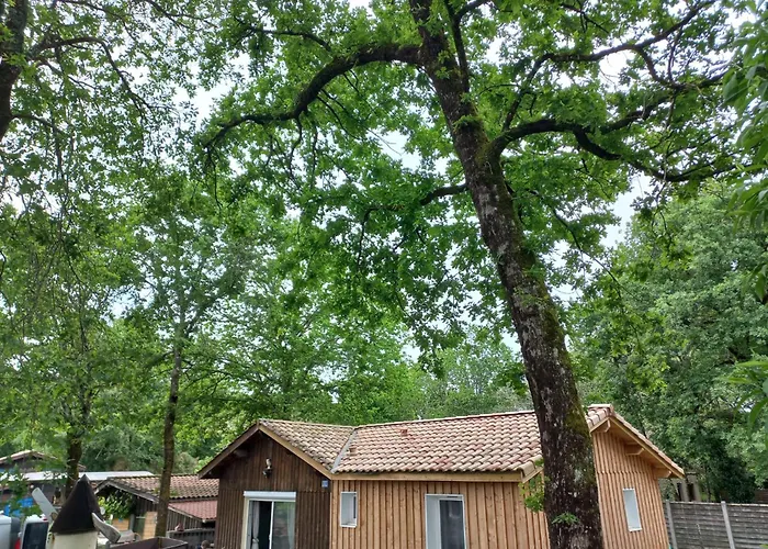 Vakantiehuis La Petite Maison Des Ecureuils Mios